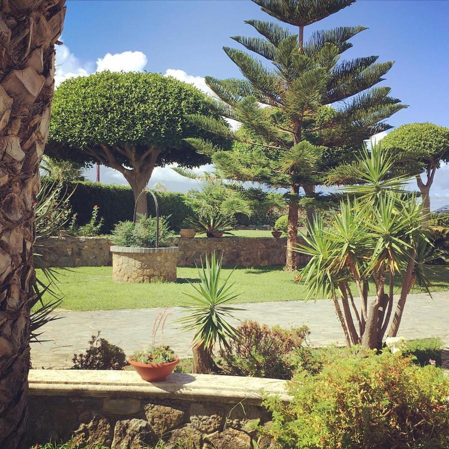 Citrarium B&B - Apartaments Cetraro Bagian luar foto